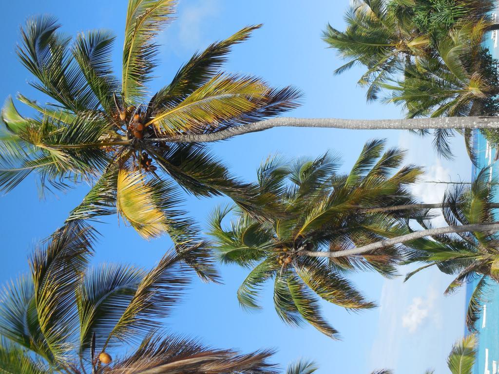 Swahili Beach Resort Zanzibar Εξωτερικό φωτογραφία
