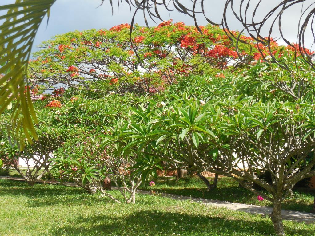 Swahili Beach Resort Zanzibar Εξωτερικό φωτογραφία